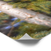 Pinto Paint Stallion & Evergreen Trees Poster (Ecke)