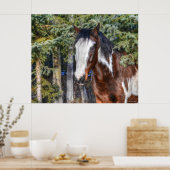 Pinto Paint Stallion & Evergreen Trees Poster (Küche)