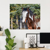 Pinto Paint Stallion & Evergreen Trees Poster (Heimbüro)