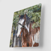 Pinto Paint Stallion & Evergreen Trees Quadratische Wanduhr (Winkel)