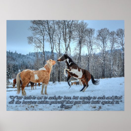 Pinto Paint Stallions, Snow & Rumi Quote Poster (Vorne)