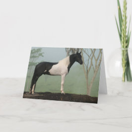Pinto-Pferd Karte