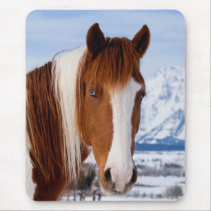 Pinto-Pferd Mount Moran im Winter Mousepad