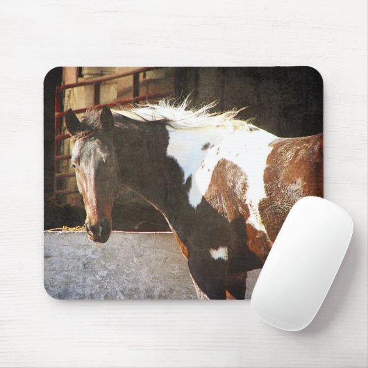 Pinto Pferd Mousepad (Mit Mouse)