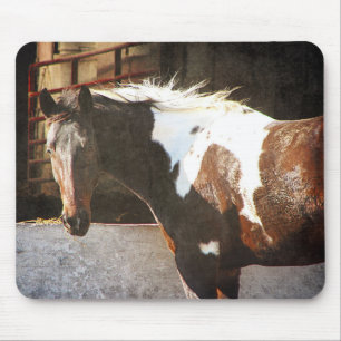 Pinto Pferd Mousepad