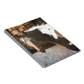 Pinto Pferd Notizblock (Rechte Seite)