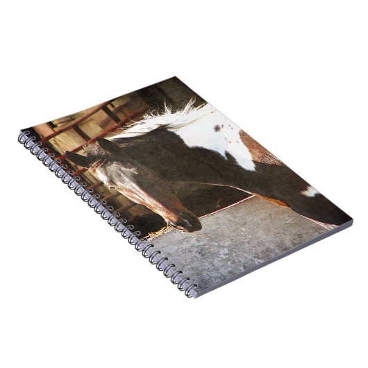 Pinto Pferd Notizblock (Rechte Seite)