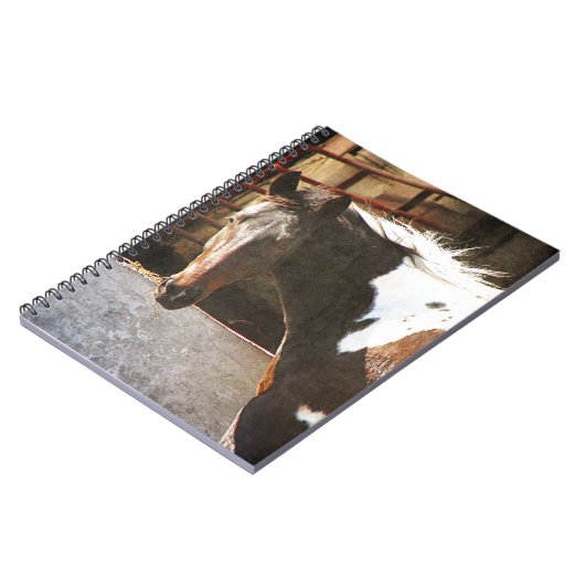 Pinto Pferd Notizblock (Linke Seite)