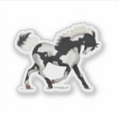 PInto Pferd Paint Pony Piebald Overo Reittier Aufkleber (Vorderseite)