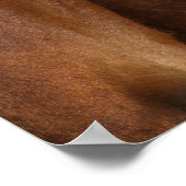 Pinto Pferd Poster (Ecke)