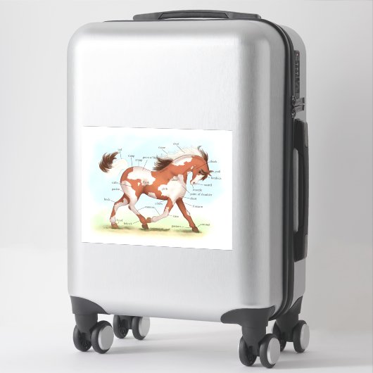 Pinto Pony Horse Educational Equine Anatomic Aufkleber (Koffer)