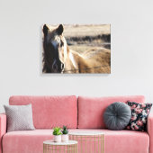 Pinto Pony Leinwanddruck (Insitu (Wohnzimmer))