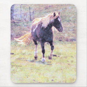 Pinto Pony Mousepad