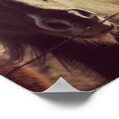 Pinto Pony Poster (Ecke)