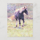 Pinto Pony Postkarte (Vorderseite)