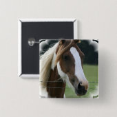 Pinto-Pony-Quadrat-Button Button (Vorne & Hinten)