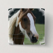 Pinto-Pony-Quadrat-Button Button (Vorderseite)