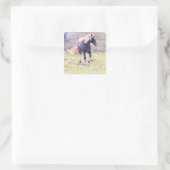 Pinto Pony Quadratischer Aufkleber (Tasche)