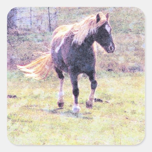 Pinto Pony Quadratischer Aufkleber (Vorderseite)