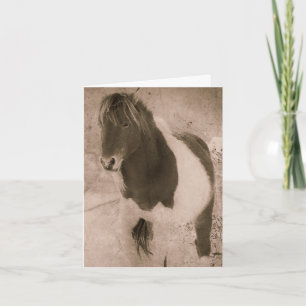 Pinto Pony Sepia Grunge, vielen Dank Feiertagskarte