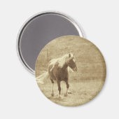 Pinto Pony Sepia Magnet (Vorderseite/Rückseite)
