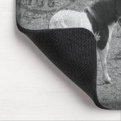 Pinto Pony und Pferde Mousepad (Ecke)