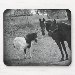 Pinto Pony und Pferde Mousepad