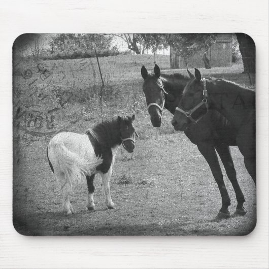 Pinto Pony und Pferde Mousepad (Vorne)