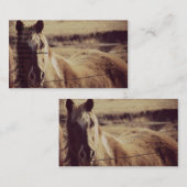 Pinto Pony Visitenkarte (Vorne/Hinten)