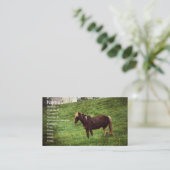 Pinto Pony Visitenkarte (Stehend Vorderseite)