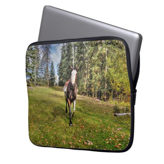 Pinto Ranch Pferd läuft in einem bewaldeten Feld Laptopschutzhülle (Vorderseite Links)