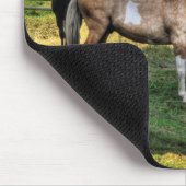 Pinto Stallion & Sorrel Mare Equine Foto Mousepad (Ecke)