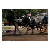 Pinto-Tiefpferd (Vorderseite (Horizontal))