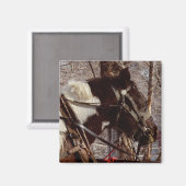 Pinto-Tiefpferd Magnet (Vorderseite/Rückseite)