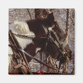 Pinto-Tiefpferd Magnet (Vorne)