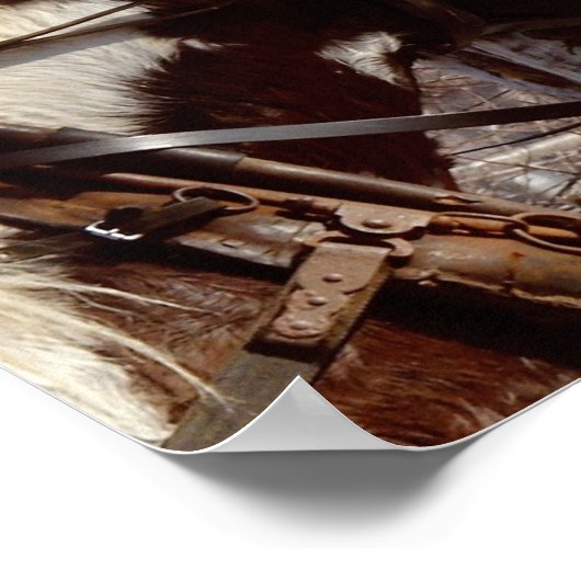 Pinto-Tiefpferd Poster (Ecke)