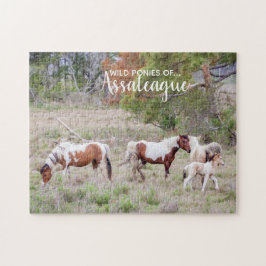 Pinto und Paint Wild Ponies of Assateague Puzzle
