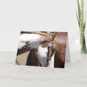 Pinto Western Pferd Karte