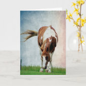 Pintopferd, Alles Gute Zum Geburtstag Karte (Gelbe Blume)