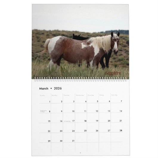 Pintos of Sand Wash Becken Calendar Kalender (Mär 2026)