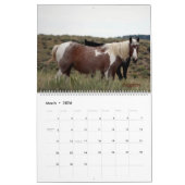 Pintos of Sand Wash Becken Calendar Kalender (Mär 2026)
