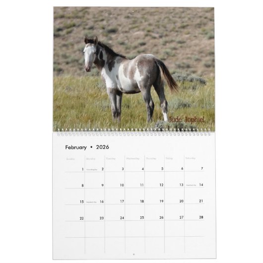 Pintos of Sand Wash Becken Calendar Kalender (Feb 2026)