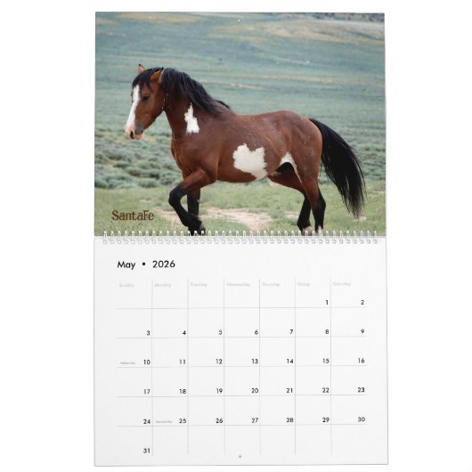 Pintos of Sand Wash Becken Calendar Kalender (Mai 2026)