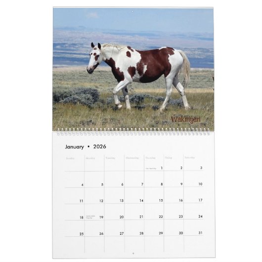 Pintos of Sand Wash Becken Calendar Kalender (Jan 2026)
