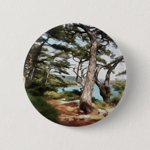 Pinus pinea Pinacoteca Button