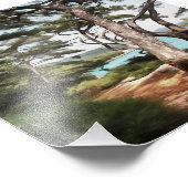 Pinus pinea Pinacoteca Fotodruck (Ecke)