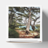 Pinus pinea Pinacoteca Geschenkschachtel (Oben)