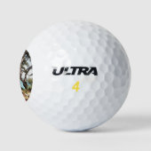 Pinus pinea Pinacoteca Golfball (Logo)