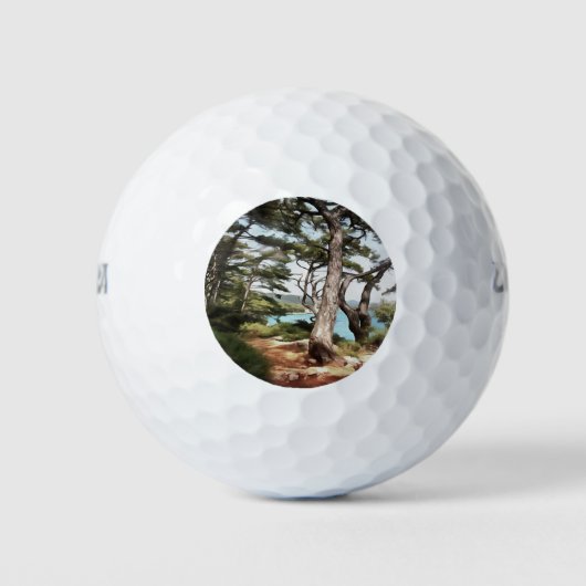 Pinus pinea Pinacoteca Golfball (Vorderseite)