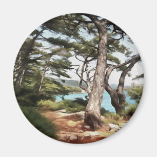 Pinus pinea Pinacoteca Magnet